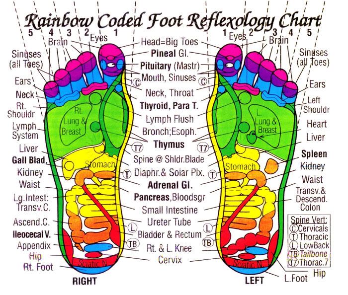 gallery-of-31-printable-foot-reflexology-charts-maps-template-lab-foot-chart-for-body-foot